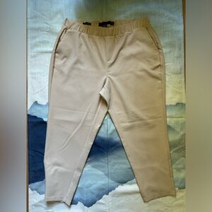 Torrid Cream Color Tapered Leg Pants, Size 2
